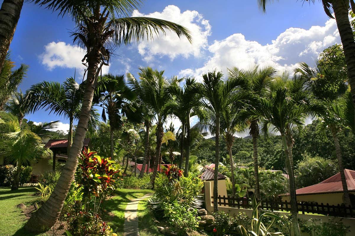 Habitation Grande Anse 3* pas cher photo 2