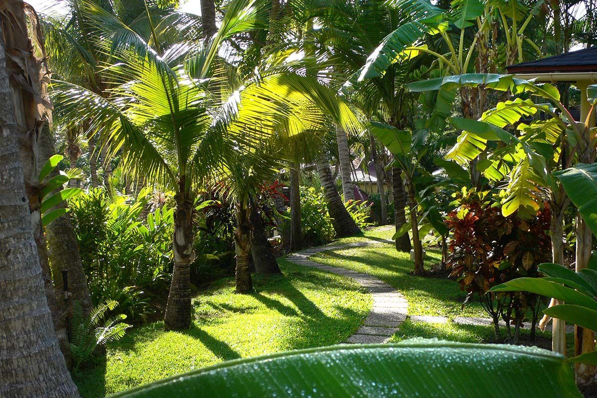 Habitation Grande Anse 3* pas cher photo 5