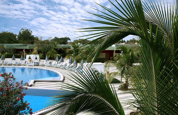 Les Amaryllis 4* pas cher photo 1