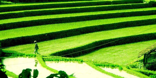 Prime Plaza Hôtel Sanur 4* pas cher photo 9