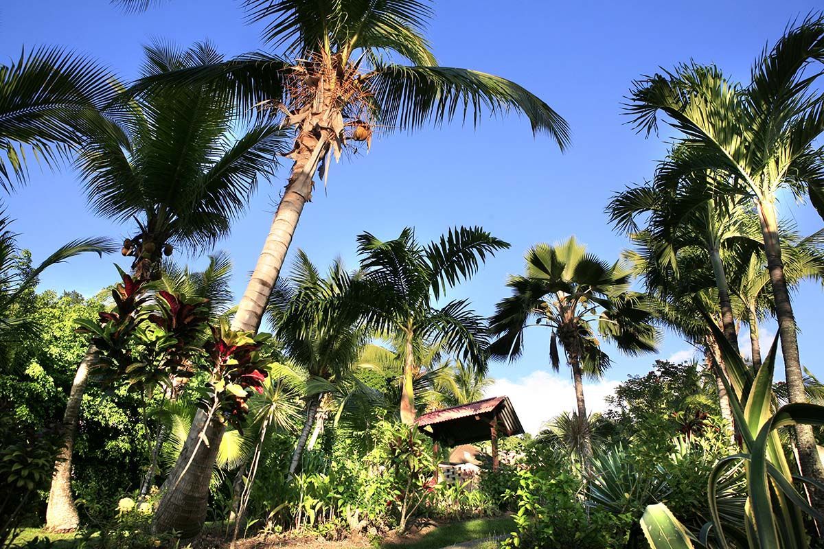 Habitation Grande Anse 3* pas cher photo 4