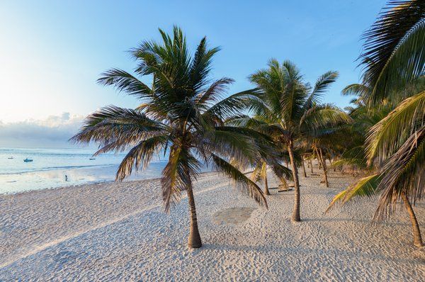 Amani Tiwi Beach Resort 5* pas cher photo 10