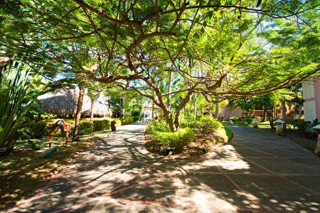 Natura Park Beach Eco Resort And Spa 4* pas cher photo 6