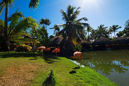 Natura Park Beach Eco Resort And Spa 4* pas cher photo 8