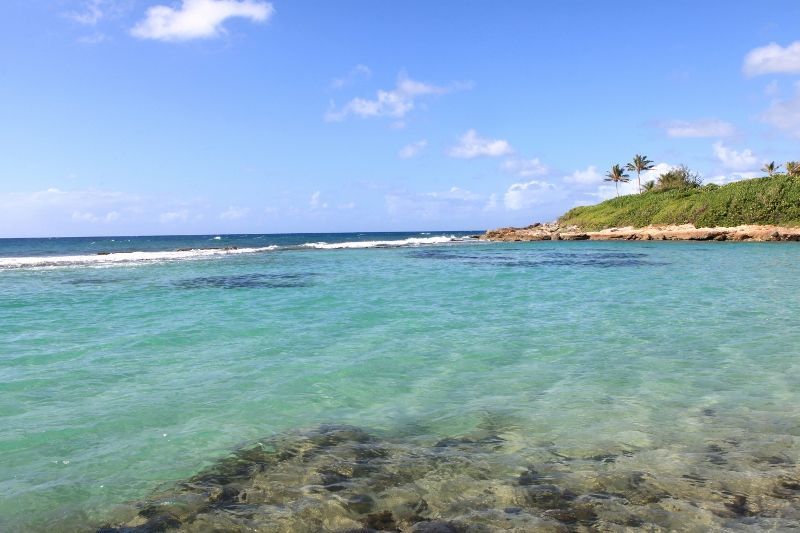 Manganao 3* pas cher photo 5