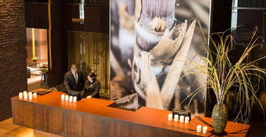 Saccharum 4* pas cher photo 5