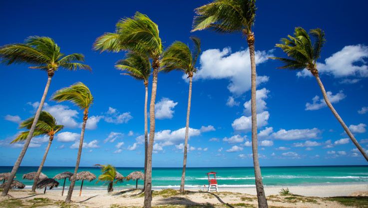 Starfish Cuatro Palmas 4* - Adult only pas cher photo 7