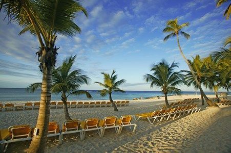 Viva Wyndham Dominicus Palace 4* pas cher photo 4
