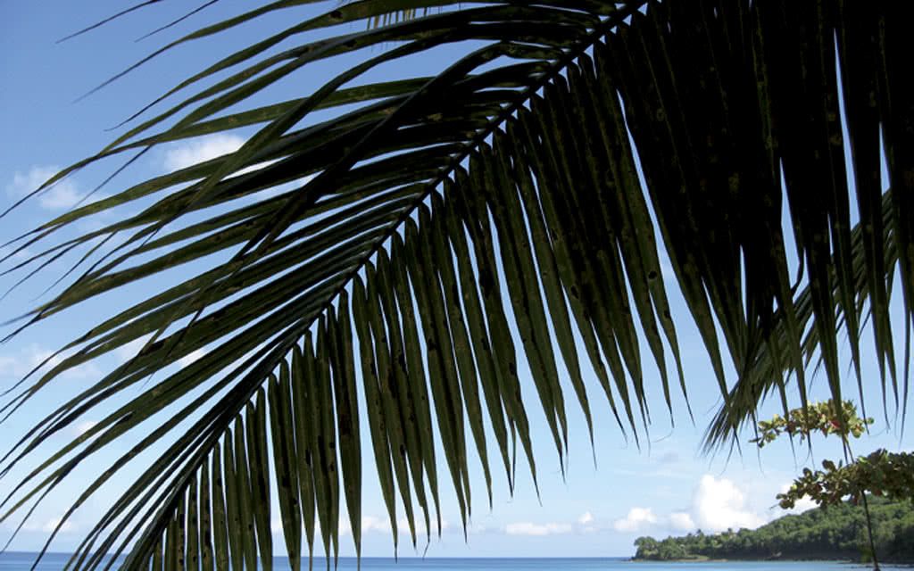 Résidence Hôtelière Fleurs des Iles 2* pas cher photo 2