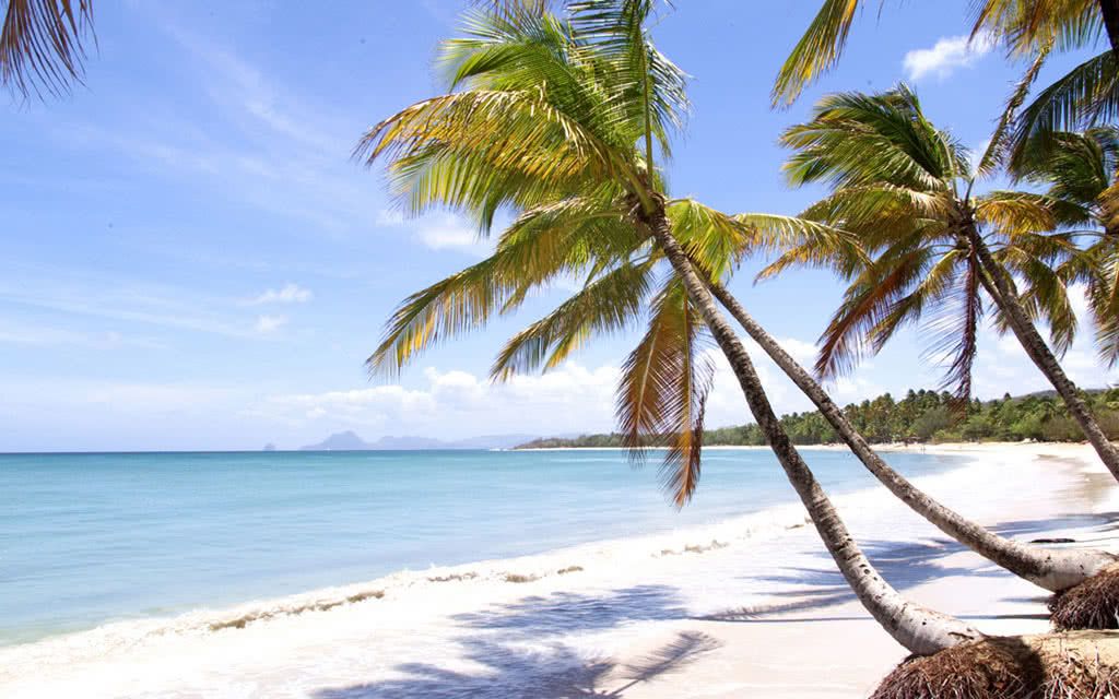 Hôtel La Pagerie 4* pas cher photo 5