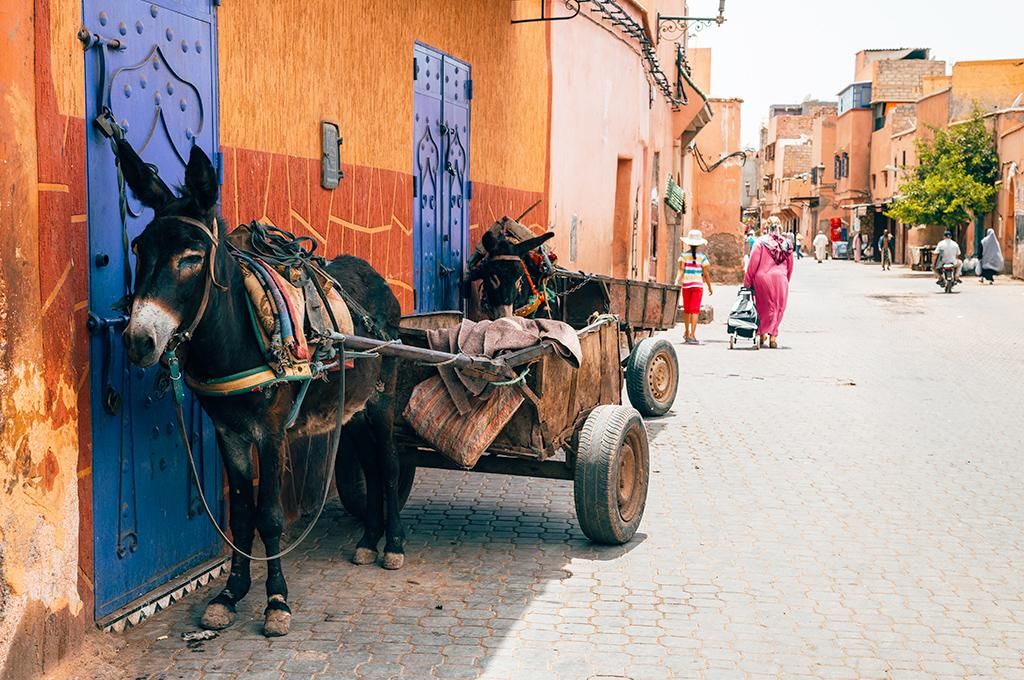 Nouvel An Marrakech & Essaouira pas cher photo 7