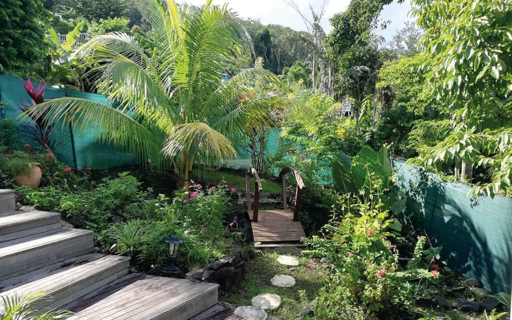 Case Coco pas cher photo 2