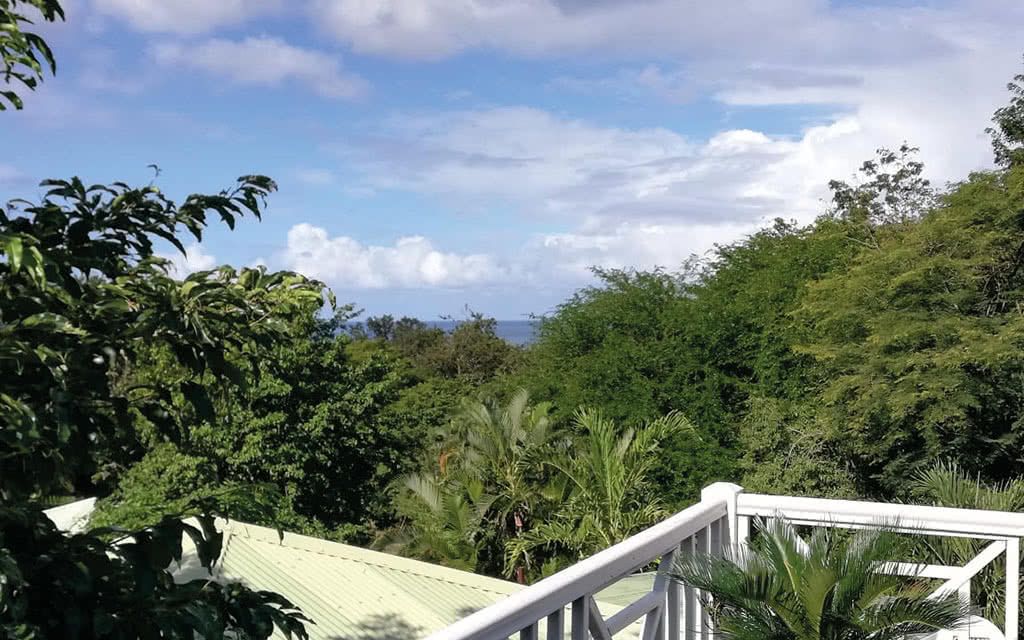 Case Coco pas cher photo 6