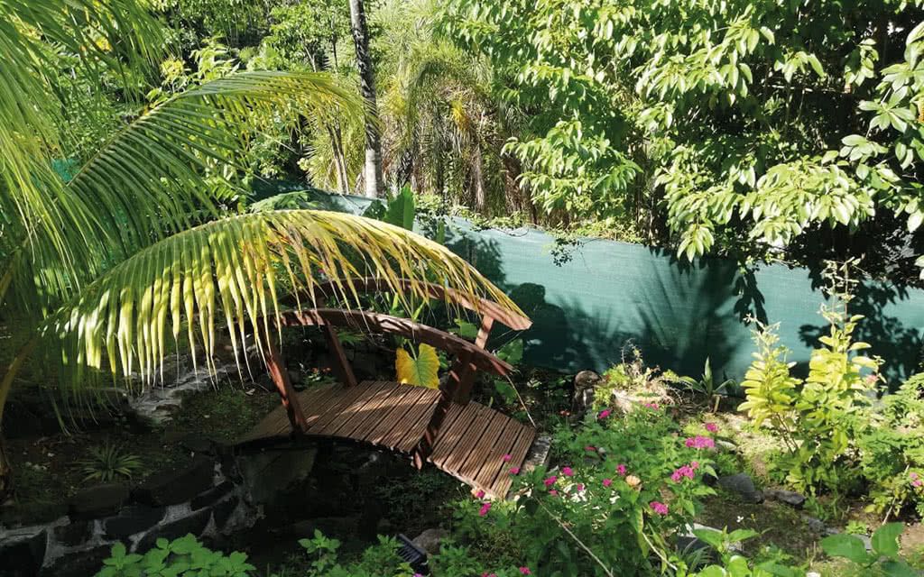 Case Coco pas cher photo 12