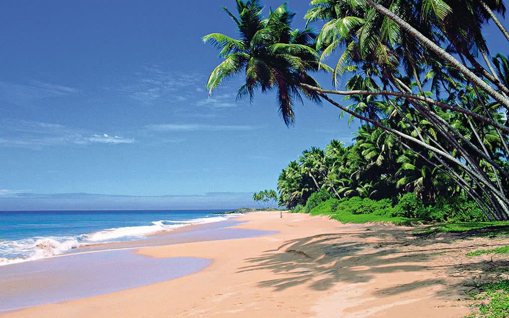 Hôtel The Palms 4* pas cher photo 5