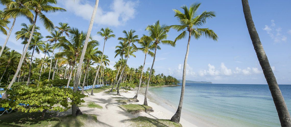 Club Coralia Grand Paradise Samana 4* pas cher photo 10