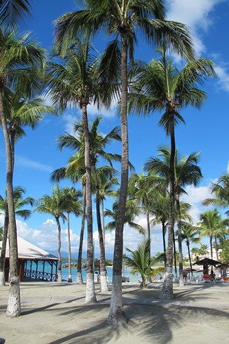 Fleur d'Epee 3* pas cher photo 11