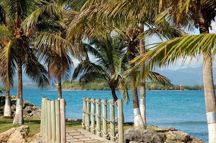 Fleur d'Epee 3* pas cher photo 12