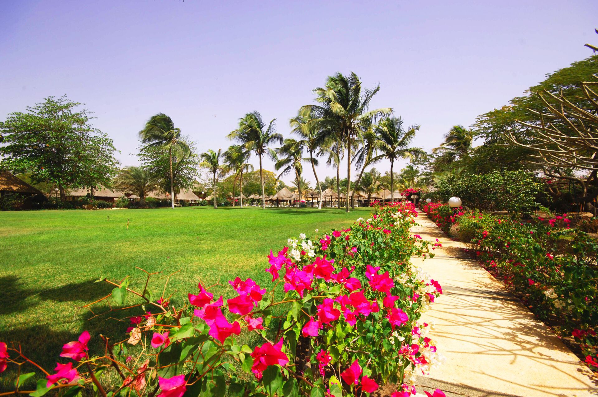 Royam - 4* pas cher photo 7