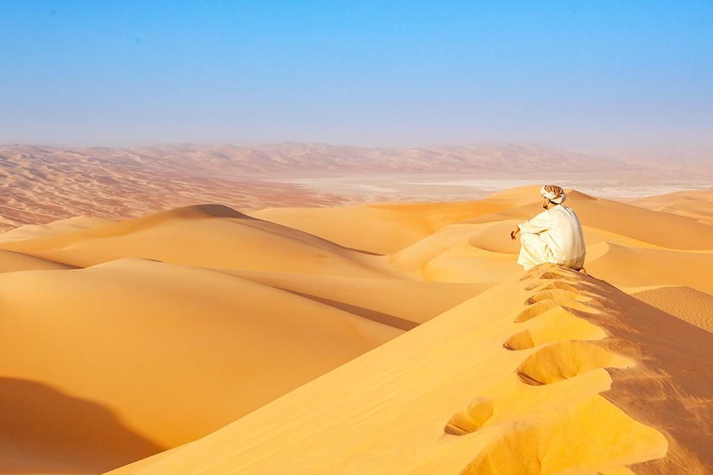 Ôcollection Sofitel the Palm Dubaï 5* pas cher photo 10