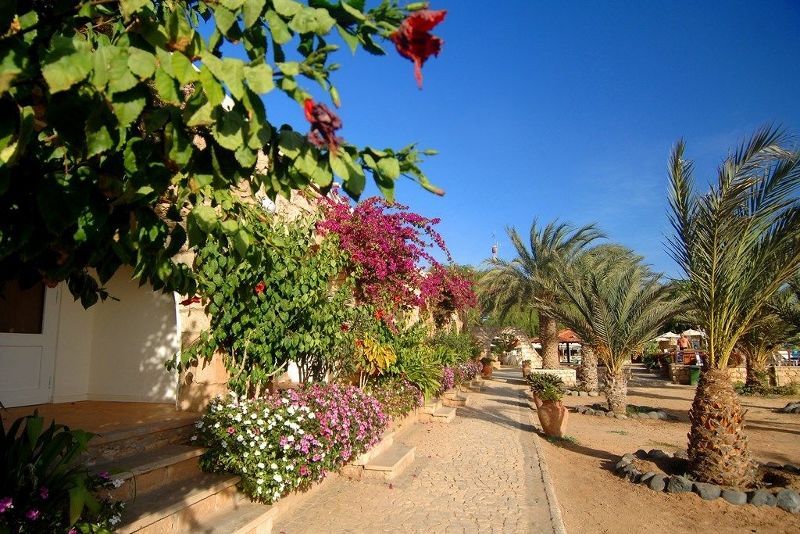 Morabeza 4* pas cher photo 7