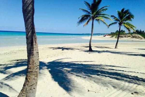 Bravo Arenal 4* pas cher photo 4