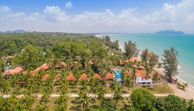 Coral Bang Saphan 1 semaine achetée=1 semaine OFFERTE* pas cher photo 10