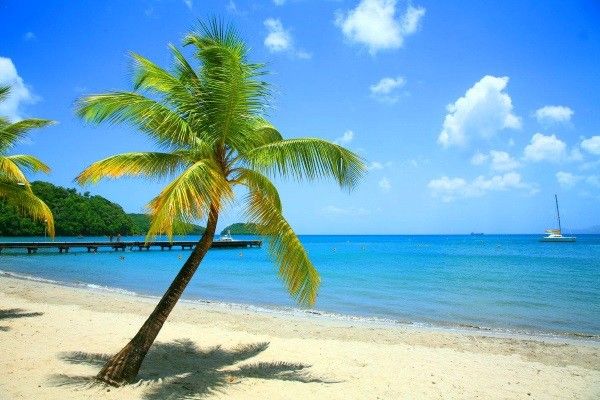 Hôtel Bambou 3* pas cher photo 2