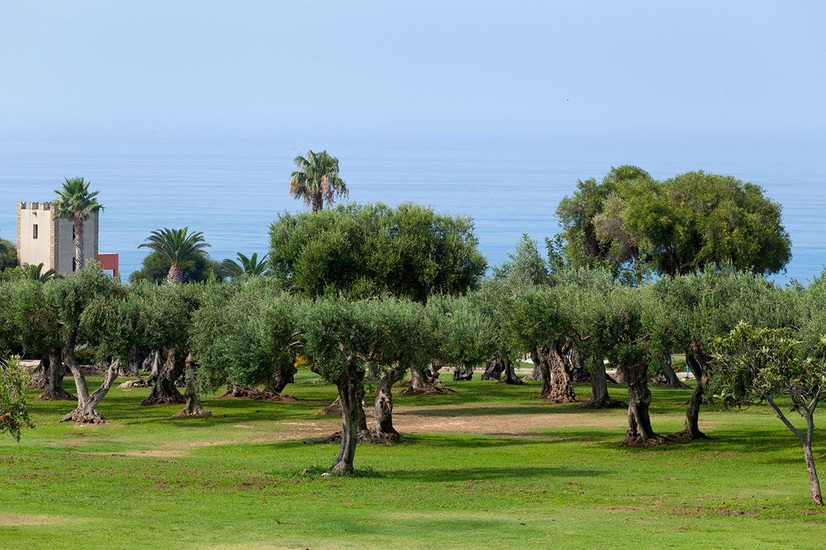 Club Marmara Alicudi - Vols Charters pas cher photo 8