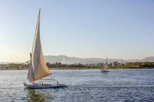 Rêverie sur le Nil & Royal Brayka Resort pas cher photo 4