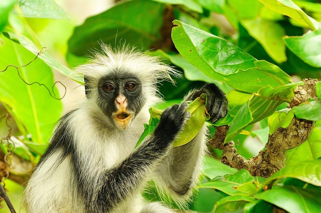 Coral Reef Resort 3* pas cher photo 9