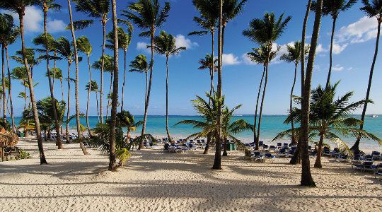 Barcelo Bavaro Beach 5* - ADULT ONLY +18 pas cher photo 3
