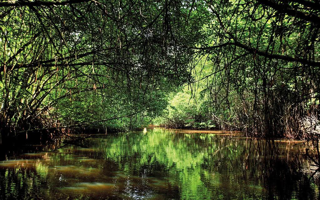 Hôtel Centara Ceysands Sri Lanka 4* pas cher photo 7