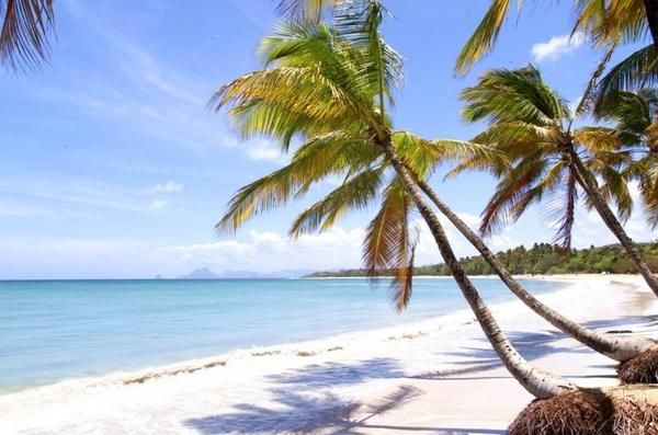 La Pagerie 4* pas cher photo 1