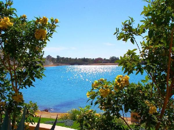 Sultan Bey 4* El Gouna pas cher photo 2