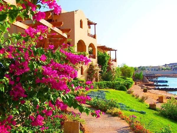 Sultan Bey 4* El Gouna pas cher photo 7