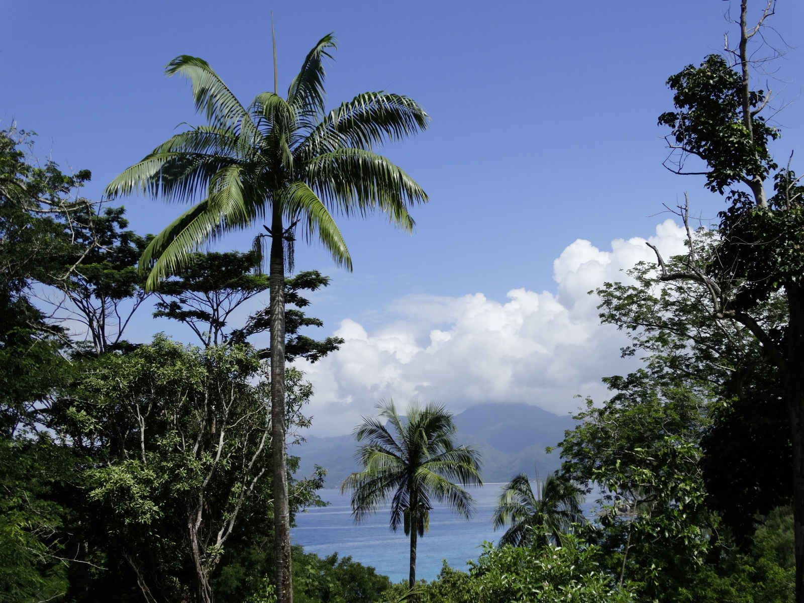 Anse Soleil Beachcomber - 3* pas cher photo 10