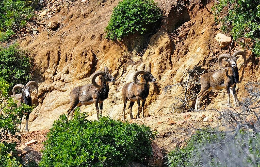 Hôtel Dune 4* pas cher photo 9