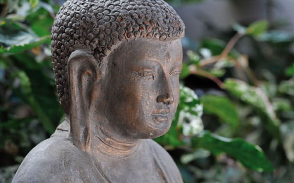 Hôtel Alamanda - Location de voiture incluse 2* pas cher photo 9