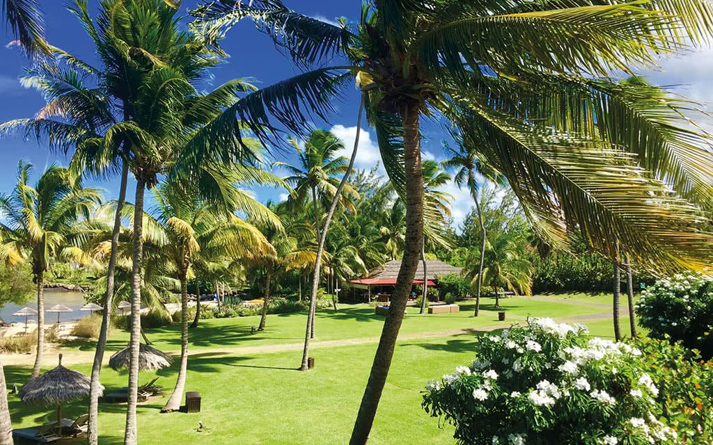 Hôtel Cap Est Lagoon Resort & Spa - Offre spéciale Noces 4* pas cher photo 10