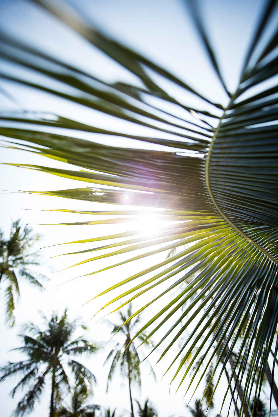 Outrigger Laguna Phuket Beach Resort - 5* pas cher photo 2