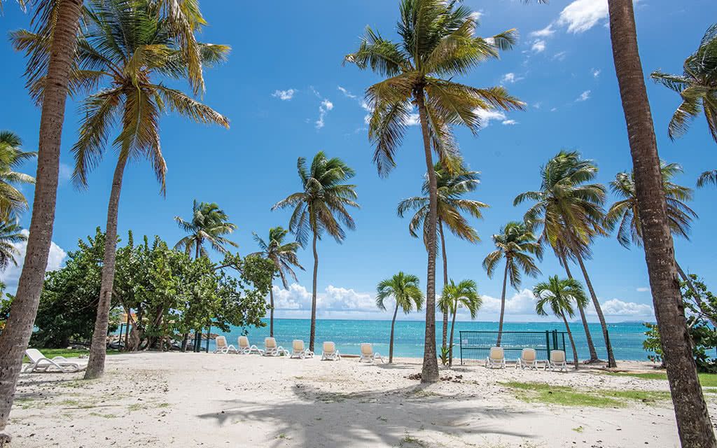 Arawak Beach Resort - Offre spéciale Noces 4* pas cher photo 12