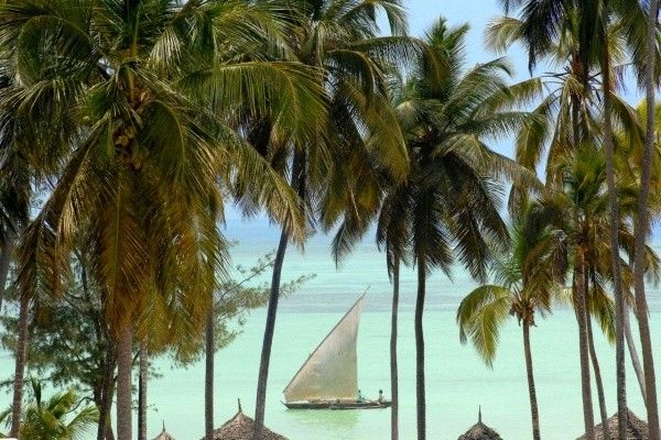 Hôtel Karafuu Beach Resort & Spa 5* pas cher photo 12