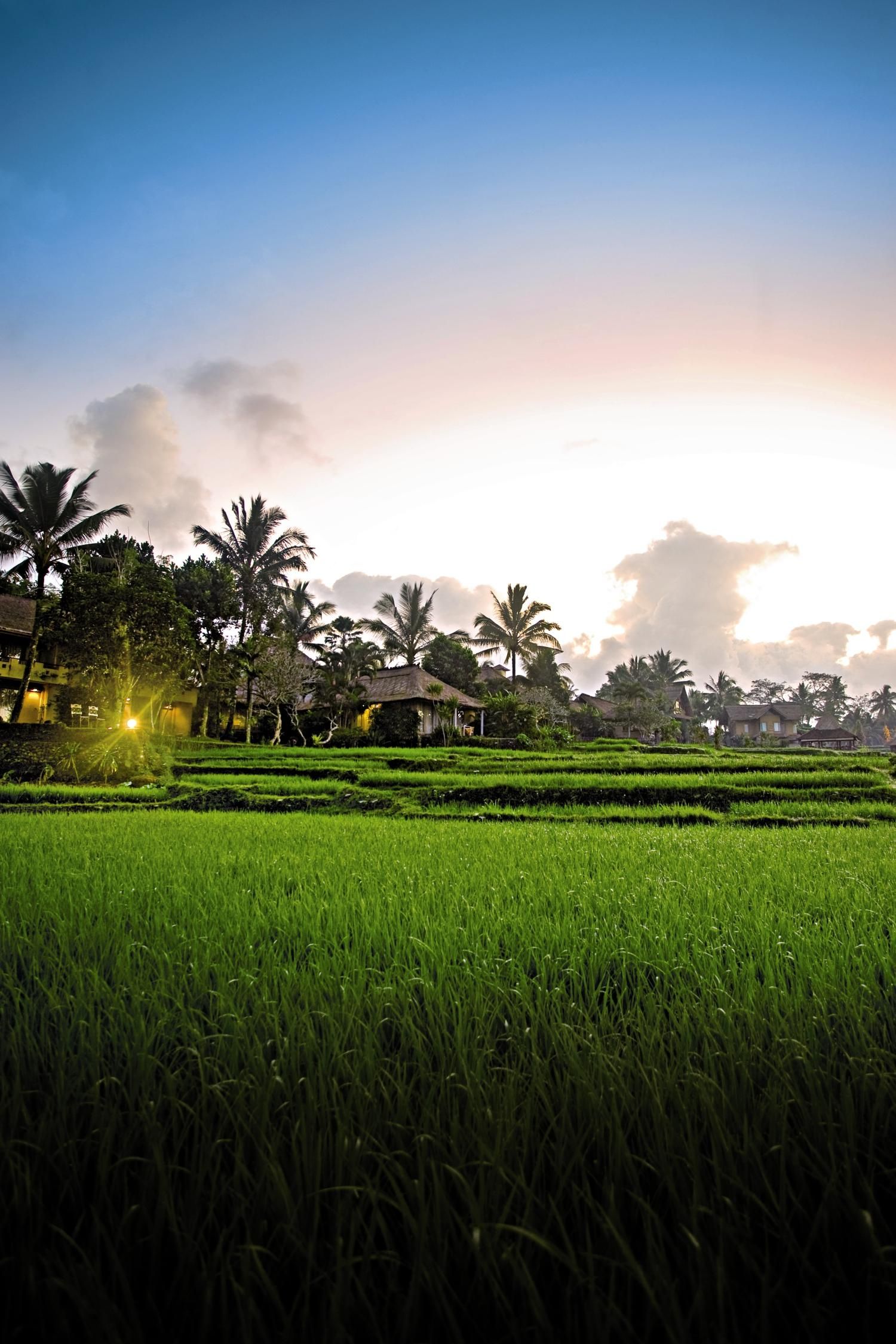 Wapa di Ume - 4* pas cher photo 3