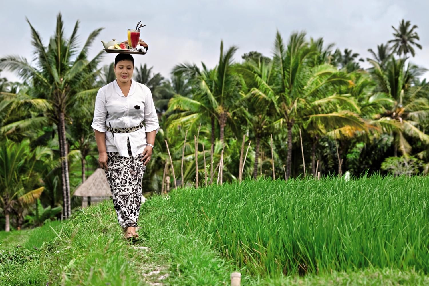 Wapa di Ume - 4* pas cher photo 4