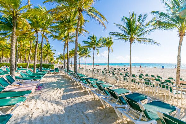 Hôtel Riu Tequila 5* pas cher photo 6