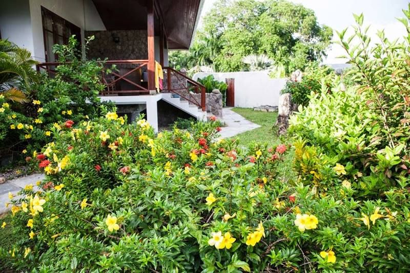 ANSE SOLEIL BEACHCOMBER 2* - 2* pas cher photo 7