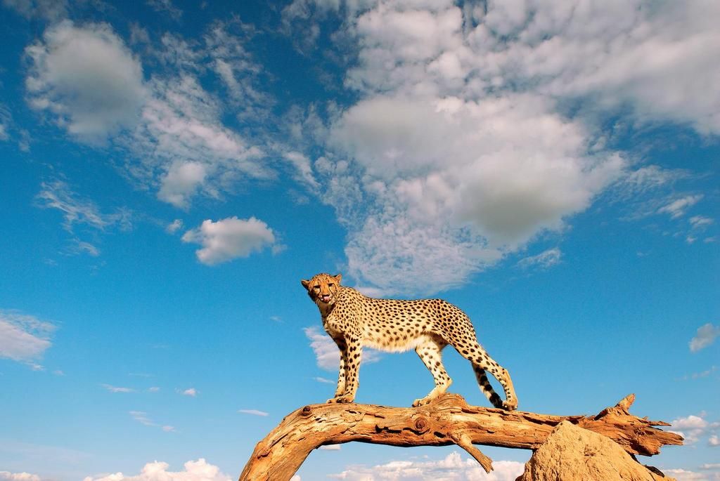 Neptune Palm Beach Boutique Resort & Spa 4* pas cher photo 10