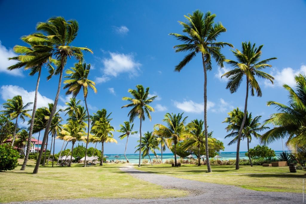 CAP EST LAGOON RESORT & SPA 4*(NL) pas cher photo 11