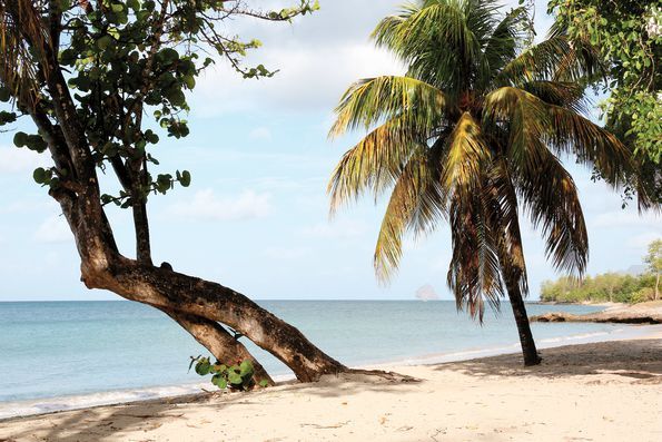 Pierre & Vacances Resort Sainte-Luce - 3* pas cher photo 11